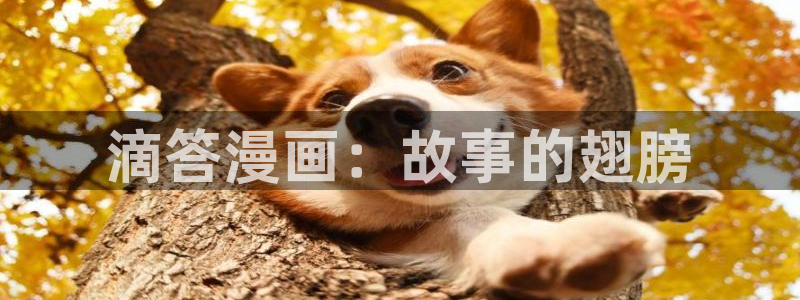 免费韩国漫画网站观看