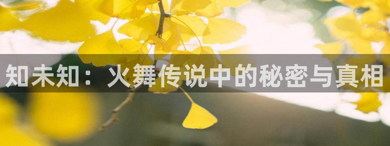 韩国漫画美丽新世界在线观看